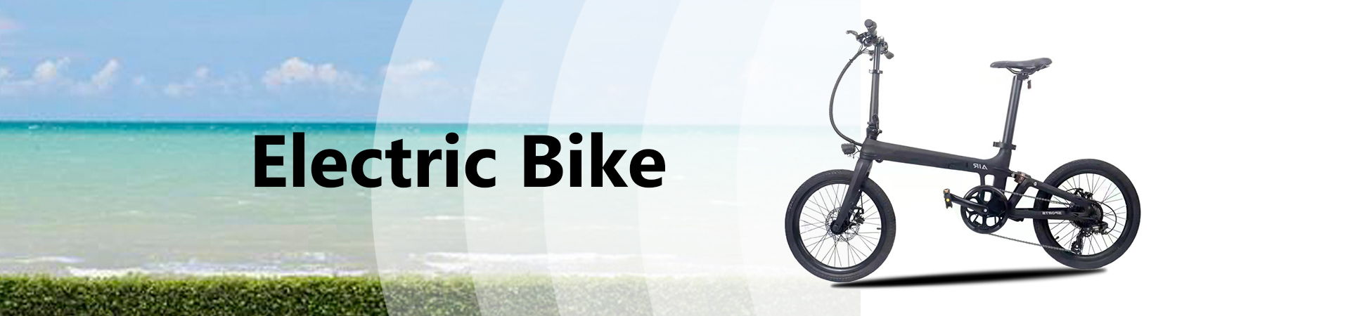 Electric Bike b
